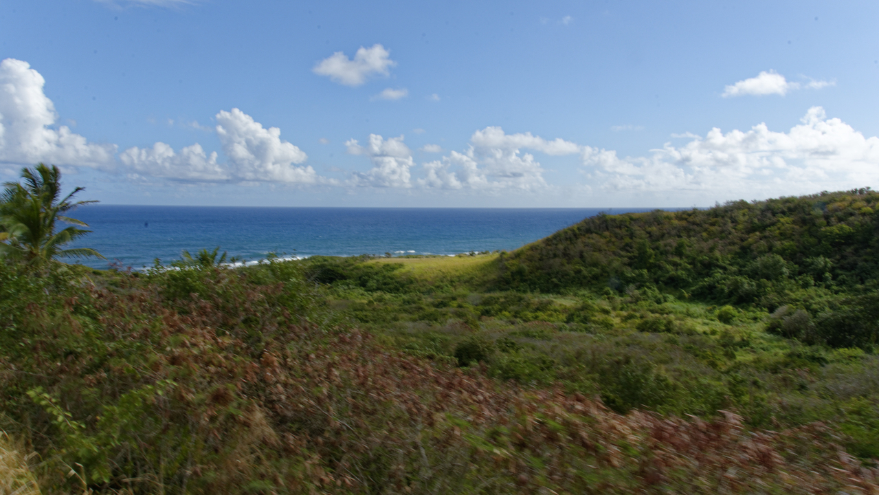 20190204-093422•Scenic Railway•Nicola Town•Christ Church Nichola Town•St Kitts and Nevis